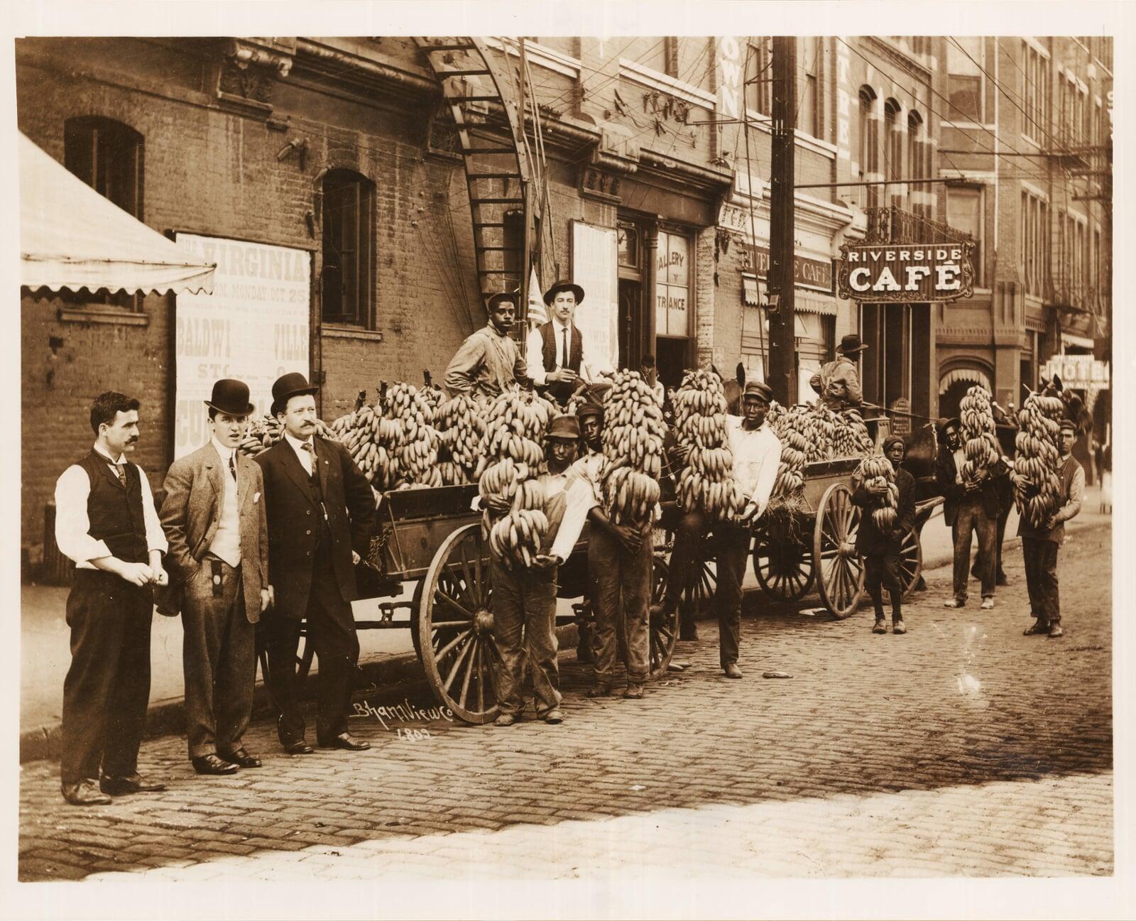 Urban Nest Banner Image